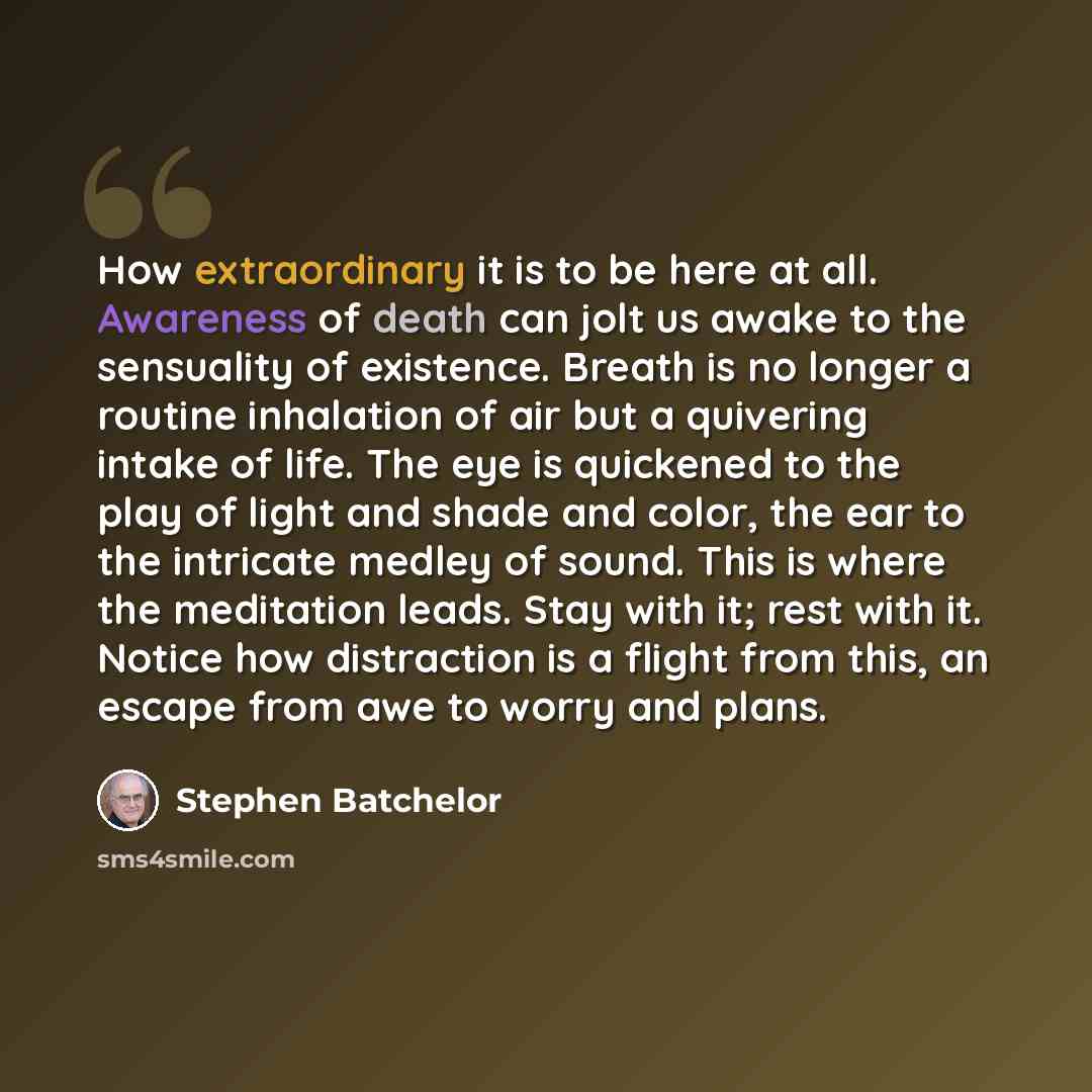 “How extraordinary it is to be here at all. Awareness of death can jolt us awake to the sensuality of existence. Breath is no longer a routine inhalation of air but a quivering intake of life. The eye is quickened to the play of light and shade and color, the ear to the intricate medley of sound…” quote by Stephen Batchelor