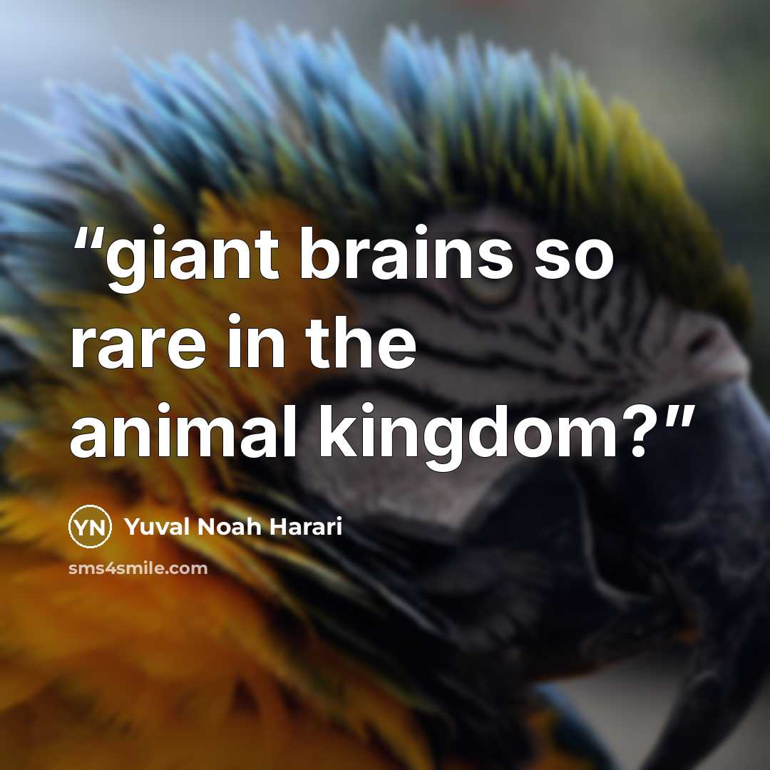 “giant brains so rare in the animal kingdom?” quote by Yuval Noah Harari