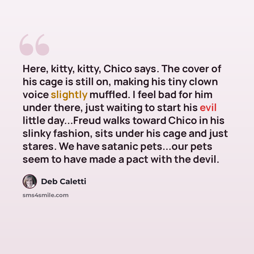 “Here, kitty, kitty, Chico says. The cover of his cage is still on, making his tiny clown voice slightly muffled. I feel bad for him under there, just waiting to start his evil little day...Freud walks toward Chico in his slinky fashion, sits under his cage and just stares. We have satanic…” quote by Deb Caletti