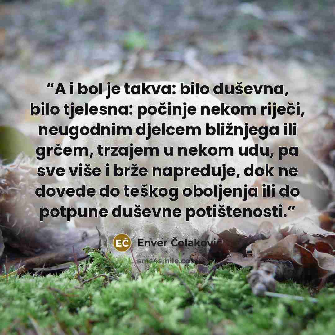 “A i bol je takva: bilo duševna, bilo tjelesna: počinje nekom riječi, neugodnim djelcem bližnjega ili grčem, trzajem u nekom udu, pa sve više i brže napreduje, dok ne dovede do teškog oboljenja ili do potpune duševne potištenosti.” quote by Enver Čolaković