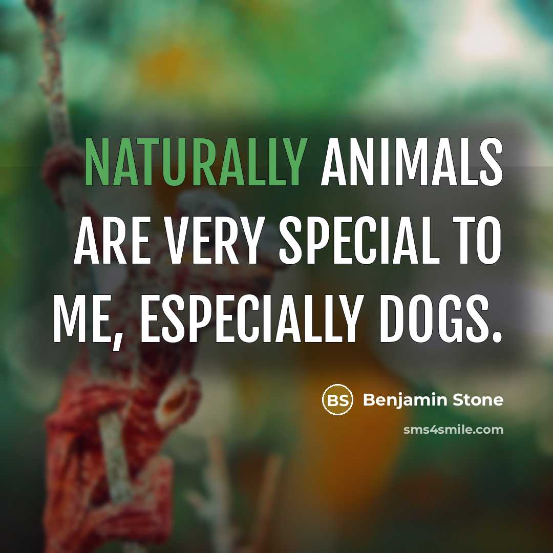 “Naturally animals are very special to me, especially dogs.” quote by Benjamin Stone