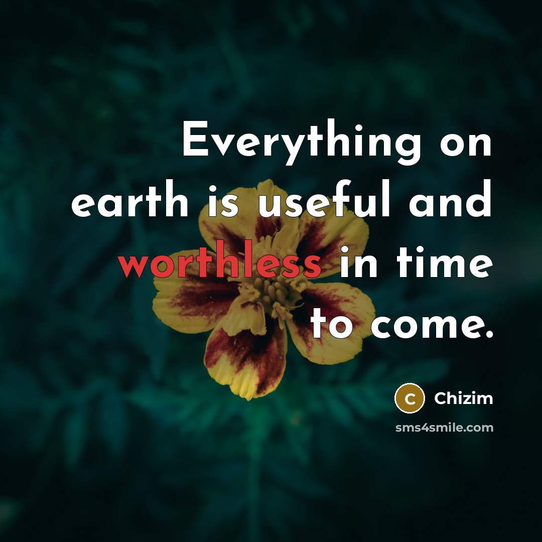 “Everything on earth is useful and worthless in time to come.” quote by Chizim