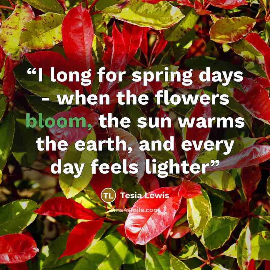 “I long for spring days - when the flowers bloom, the sun warms the earth, and every day feels lighter” quote by Tesia Lewis