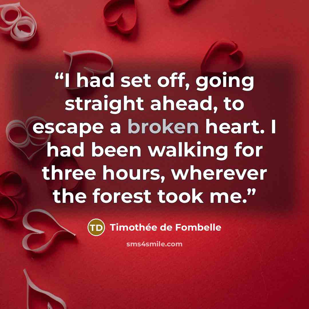 “I had set off, going straight ahead, to escape a broken heart. I had been walking for three hours, wherever the forest took me.” quote by Timothée de Fombelle