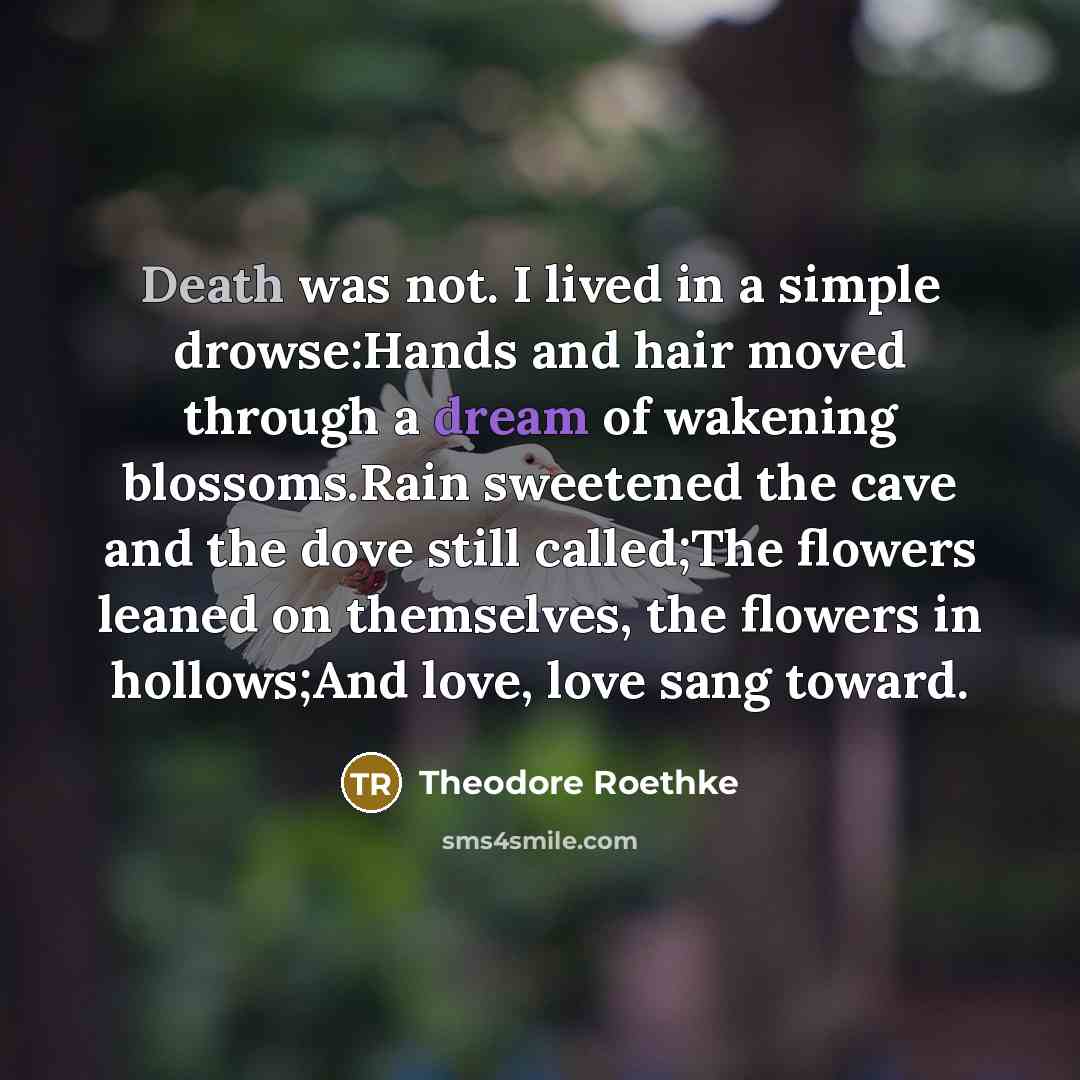 “Death was not. I lived in a simple drowse:Hands and hair moved through a dream of wakening blossoms.Rain sweetened the cave and the dove still called;The flowers leaned on themselves, the flowers in hollows;And love, love sang toward.” quote by Theodore Roethke