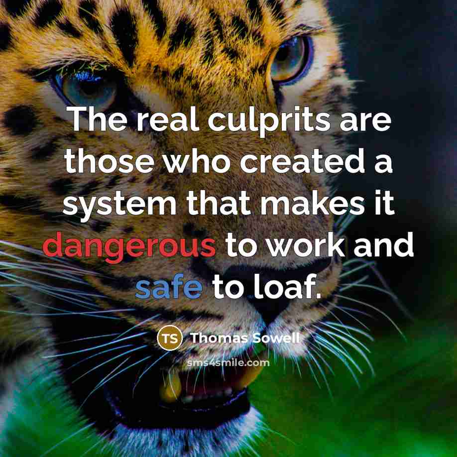 “The real culprits are those who created a system that makes it dangerous to work and safe to loaf.” quote by Thomas Sowell