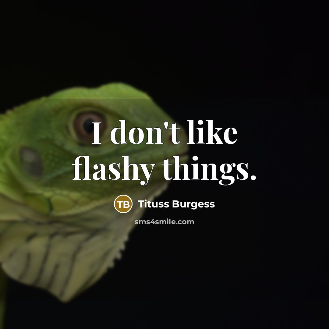 “I don't like flashy things.” quote by Tituss Burgess