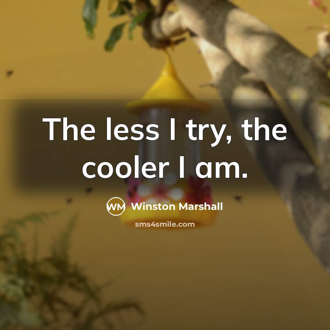 “The less I try, the cooler I am.” quote by Winston Marshall