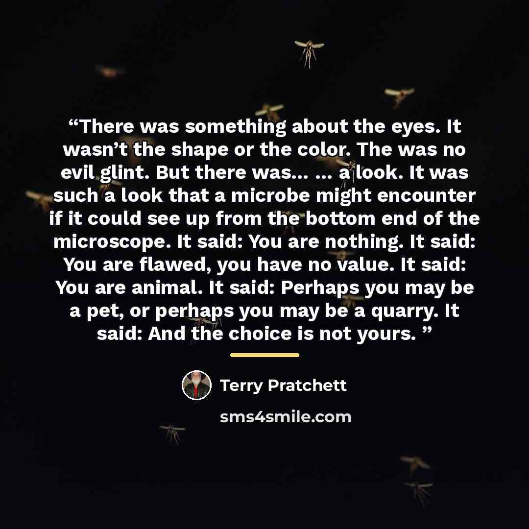 “There was something about the eyes. It wasn’t the shape or the color. The was no evil glint. But there was… … a look. It was such a look that a microbe might encounter if it could see up from the bottom end of the microscope. It said: You are nothing. It said: You are flawed, you have no value. It…” quote by Terry Pratchett