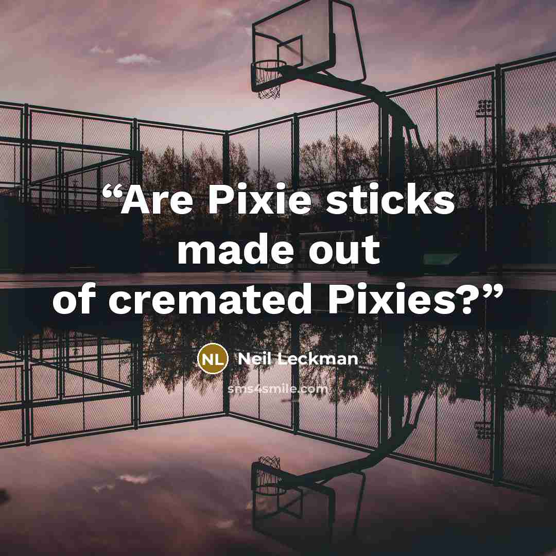 “Are Pixie sticks made out of cremated Pixies?” quote by Neil Leckman