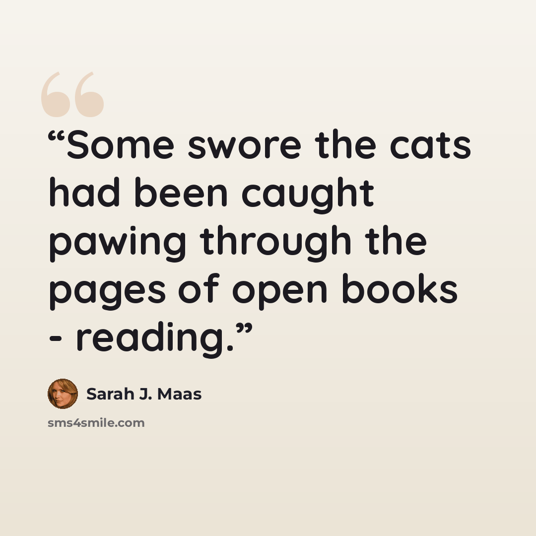 “Some swore the cats had been caught pawing through the pages of open books - reading.” quote by Sarah J. Maas