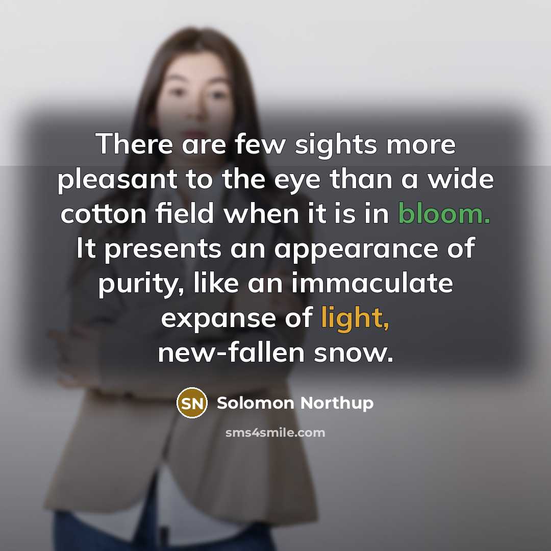 “There are few sights more pleasant to the eye than a wide cotton field when it is in bloom. It presents an appearance of purity, like an immaculate expanse of light, new-fallen snow.” quote by Solomon Northup