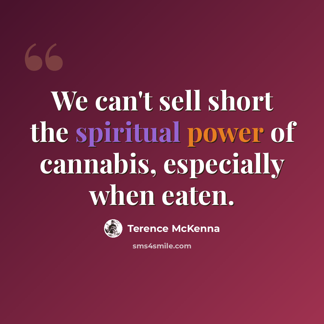 “We can't sell short the spiritual power of cannabis, especially when eaten.” quote by Terence McKenna