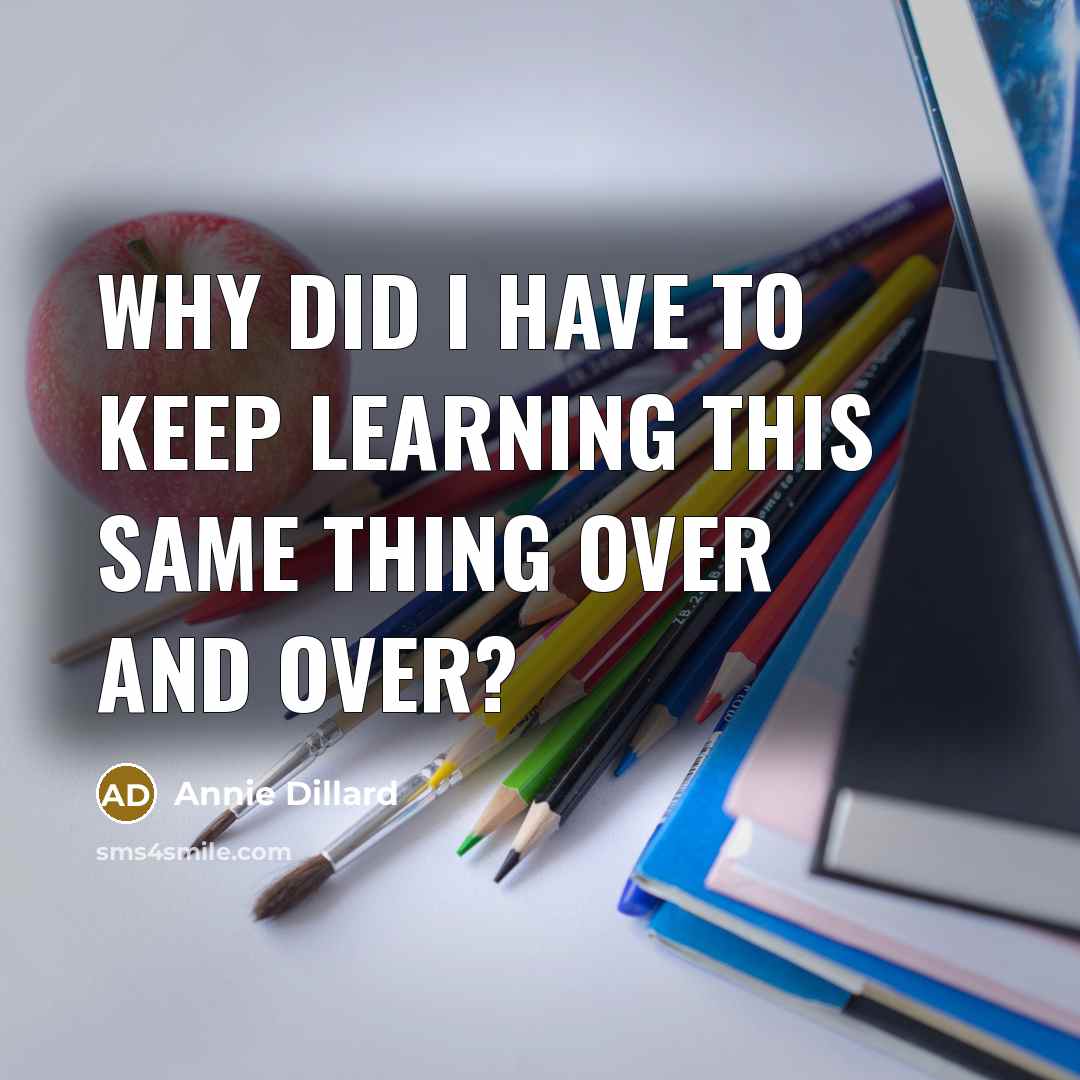 “why did I have to keep learning this same thing over and over?” quote by Annie Dillard