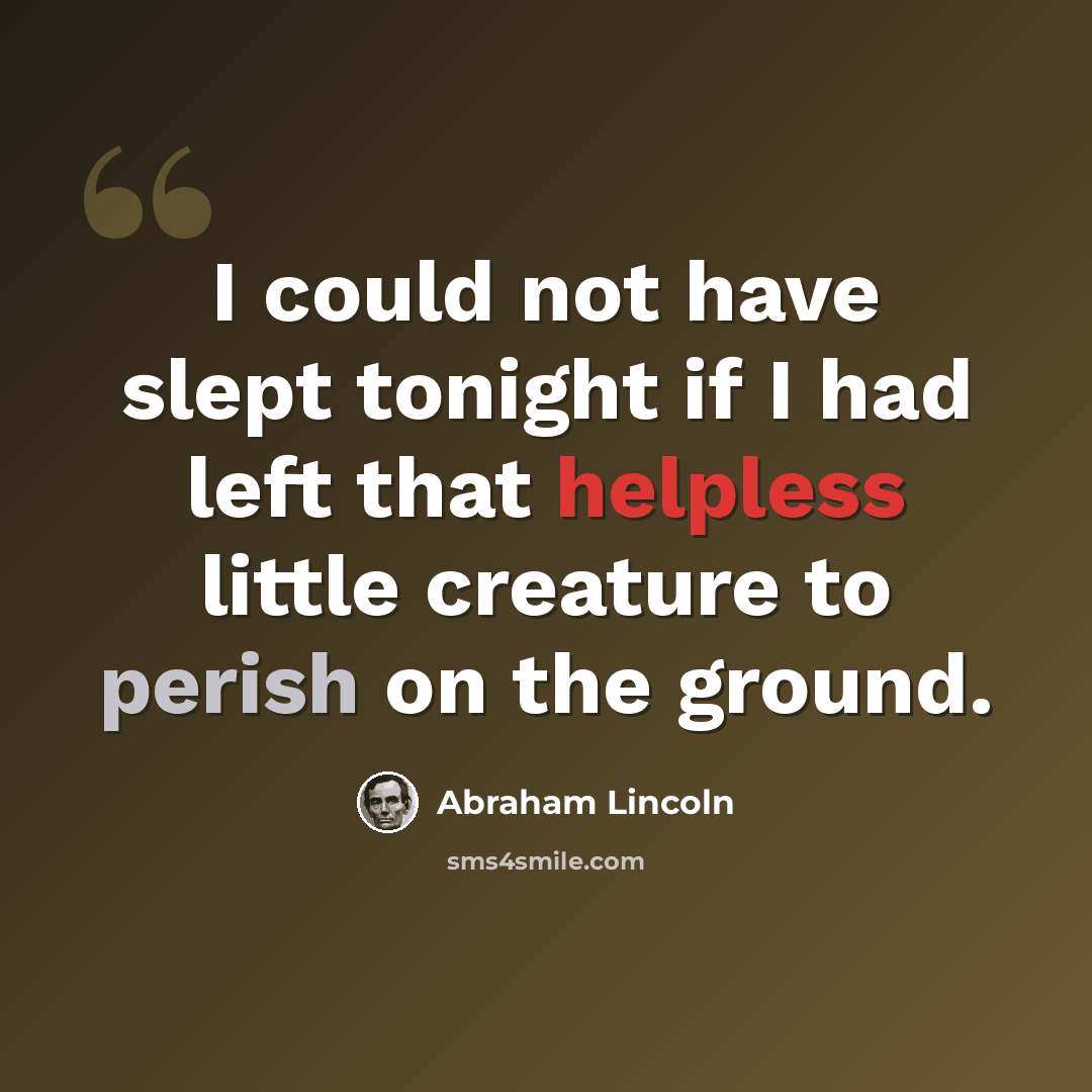“I could not have slept tonight if I had left that helpless little creature to perish on the ground.” quote by Abraham Lincoln