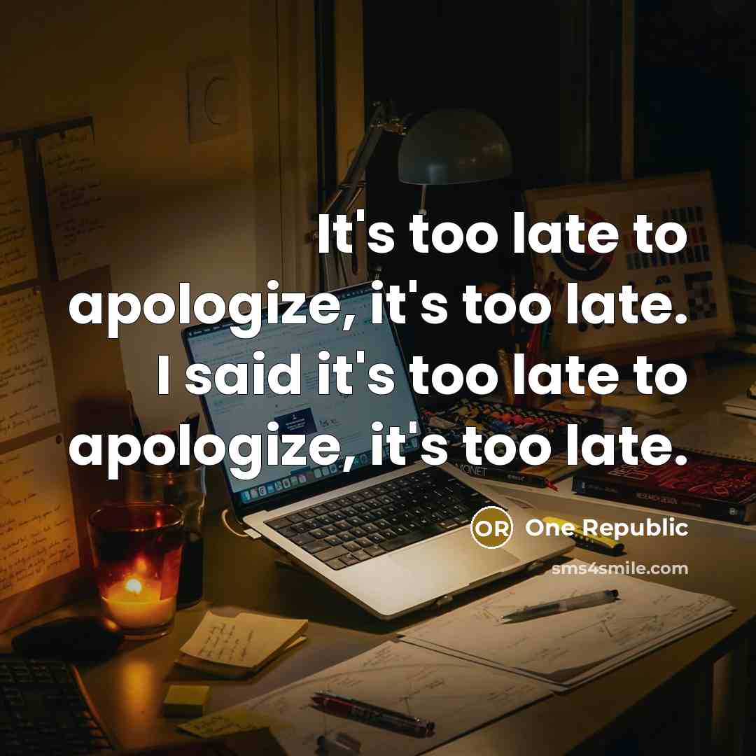 “It's too late to apologize, it's too late. I said it's too late to apologize, it's too late.” quote by One Republic