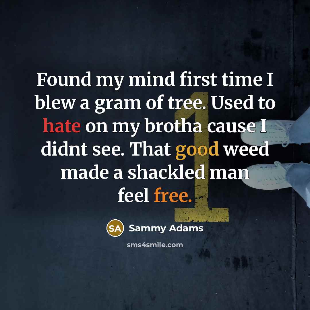 “Found my mind first time I blew a gram of tree. Used to hate on my brotha cause I didnt see. That good weed made a shackled man feel free.” quote by Sammy Adams