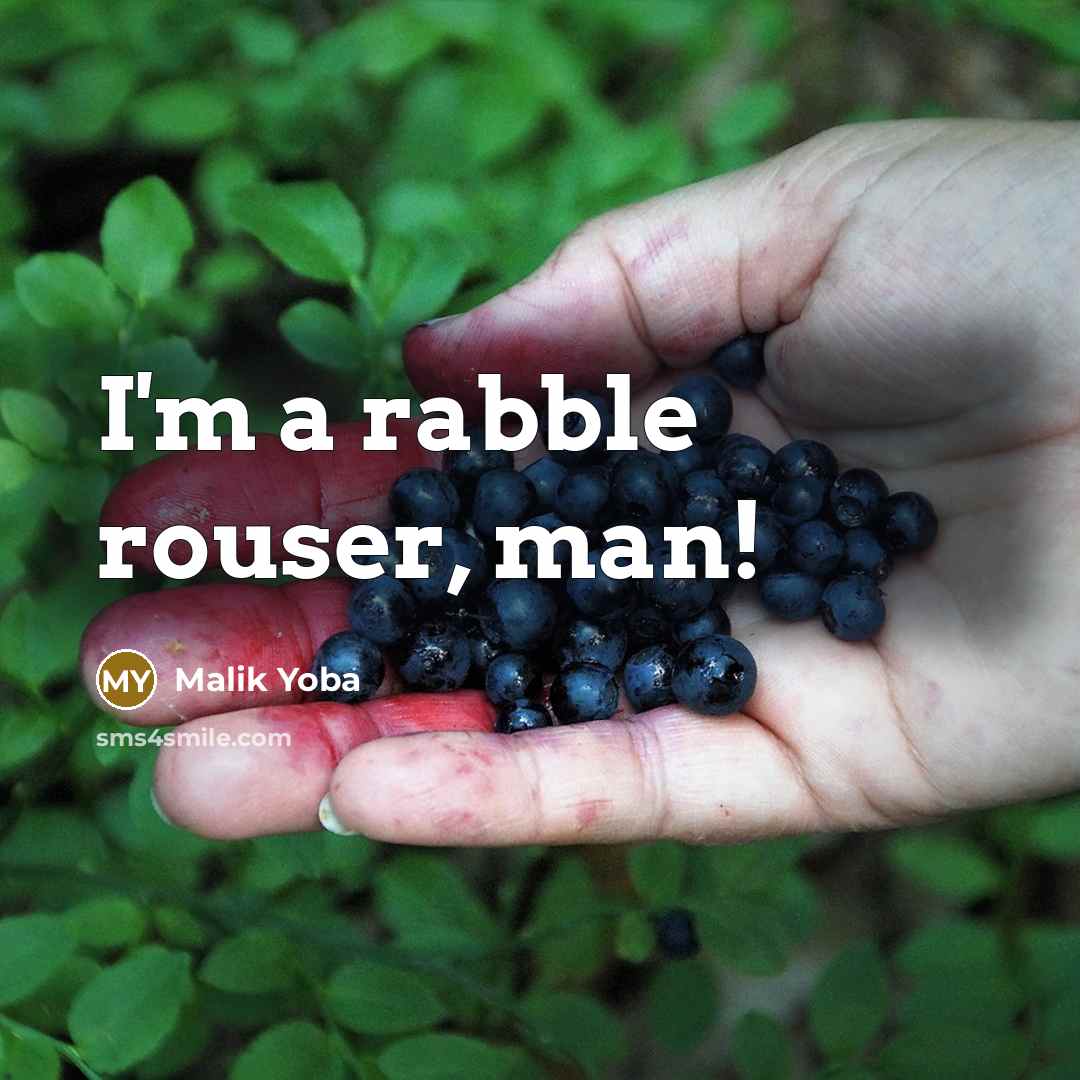 “I'm a rabble rouser, man!” quote by Malik Yoba