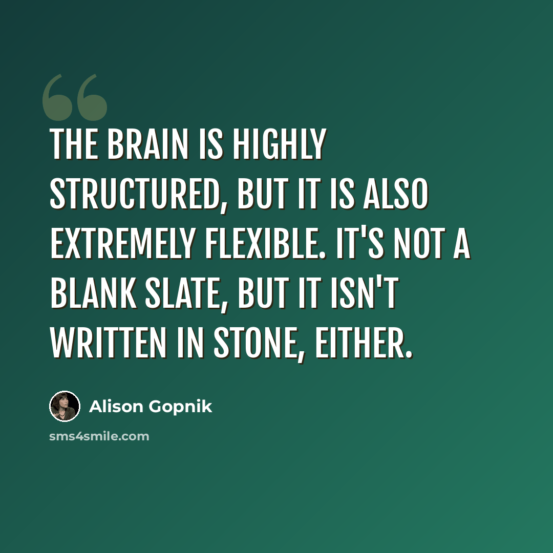 “The brain is highly structured, but it is also extremely flexible. It's not a blank slate, but it isn't written in stone, either.” quote by Alison Gopnik