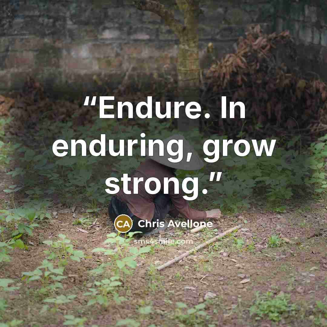 “Endure. In enduring, grow strong.” quote by Chris Avellone