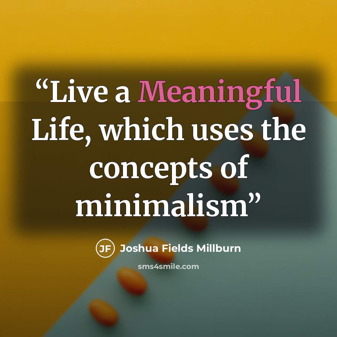 “Live a Meaningful Life, which uses the concepts of minimalism” quote by Joshua Fields Millburn