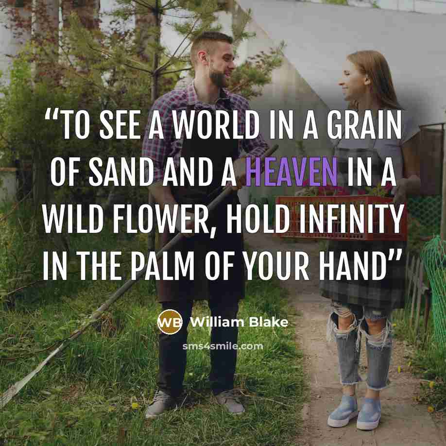 “To see a World in a Grain of Sand And a Heaven in a Wild Flower, Hold Infinity in the palm of your hand” quote by William Blake