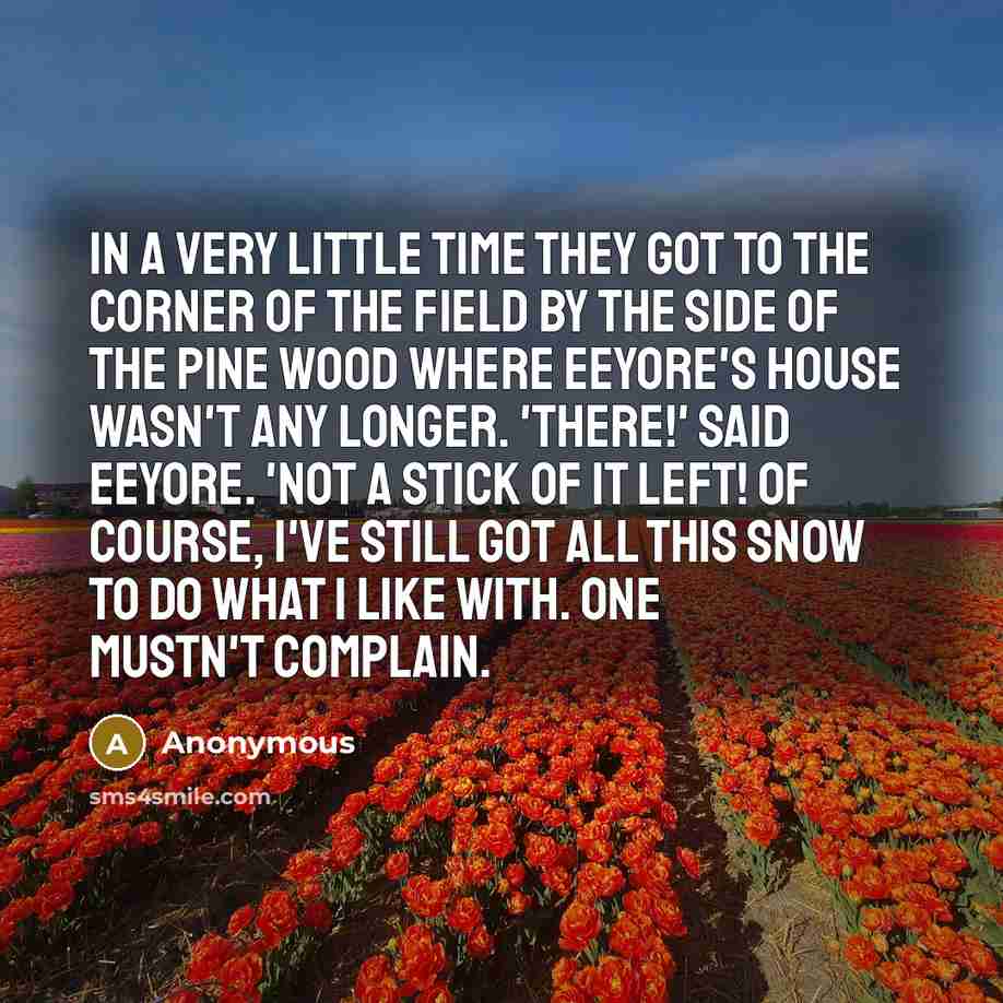 “In a very little time they got to the corner of the field by the side of the pine wood where Eeyore's house wasn't any longer. 'There!' said Eeyore. 'Not a stick of it left! Of course, I've still got all this snow to do what I like with. One mustn't complain.” quote by Anonymous