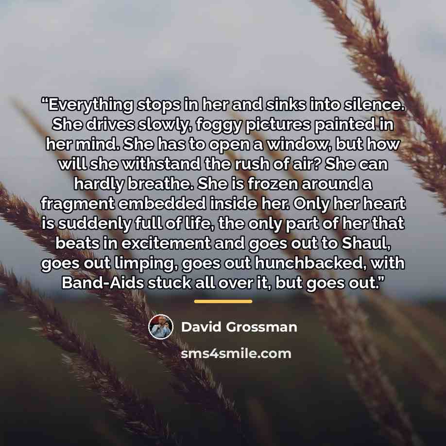 “Everything stops in her and sinks into silence. She drives slowly, foggy pictures painted in her mind. She has to open a window, but how will she withstand the rush of air? She can hardly breathe. She is frozen around a fragment embedded inside her. Only her heart is suddenly full of life, the…” quote by David Grossman