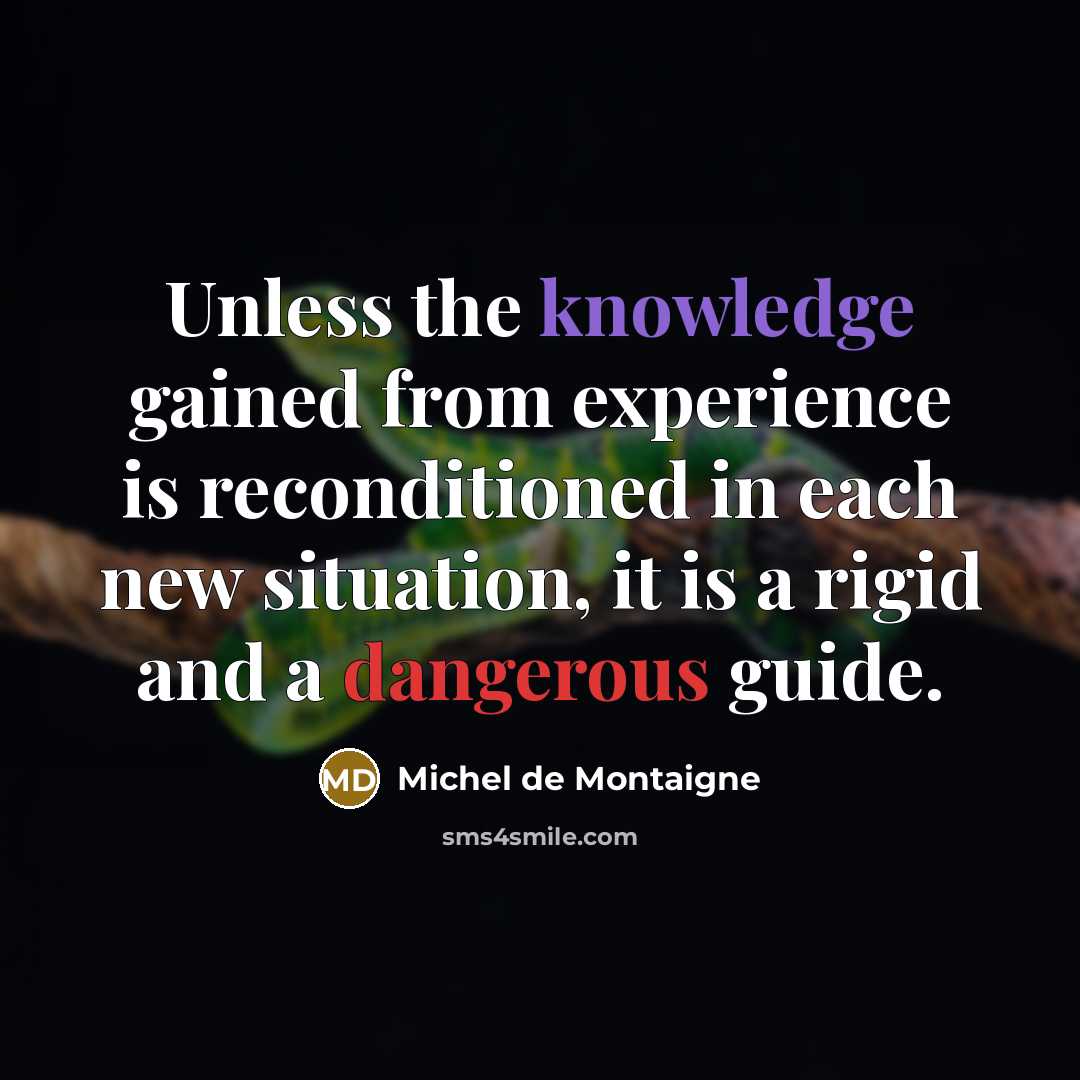 “Unless the knowledge gained from experience is reconditioned in each new situation, it is a rigid and a dangerous guide.” quote by Michel De Montaigne
