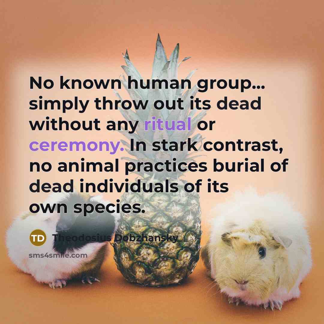 “No known human group... simply throw out its dead without any ritual or ceremony. In stark contrast, no animal practices burial of dead individuals of its own species.” quote by Theodosius Dobzhansky