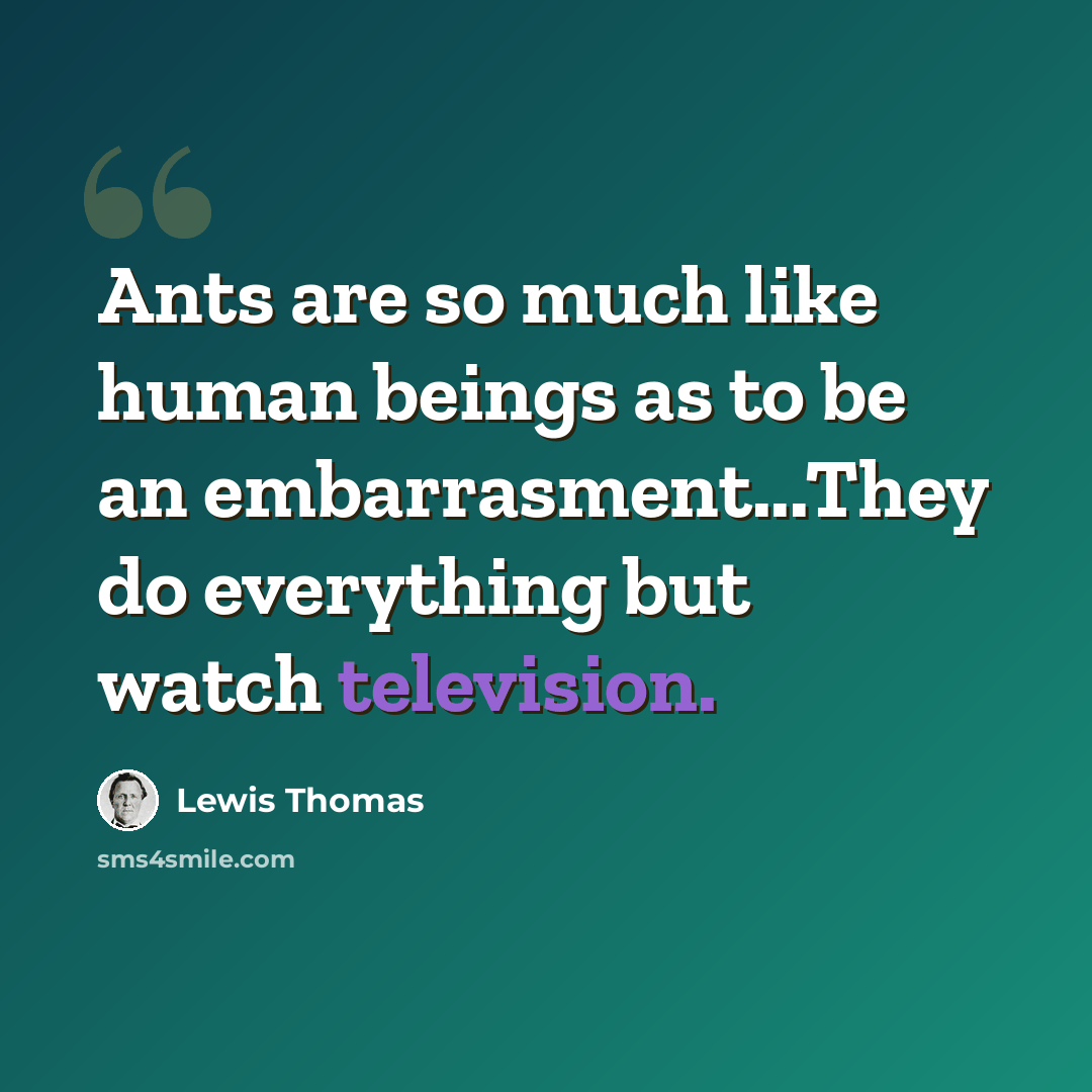 “Ants are so much like human beings as to be an embarrasment...They do everything but watch television.” quote by Lewis Thomas