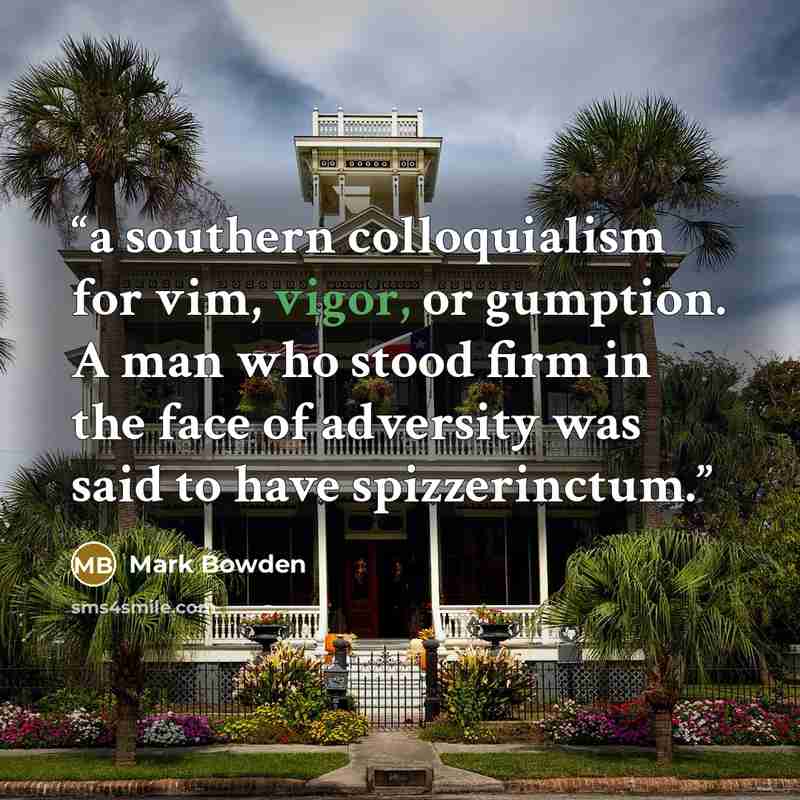 “a southern colloquialism for vim, vigor, or gumption. A man who stood firm in the face of adversity was said to have spizzerinctum.” quote by Mark Bowden