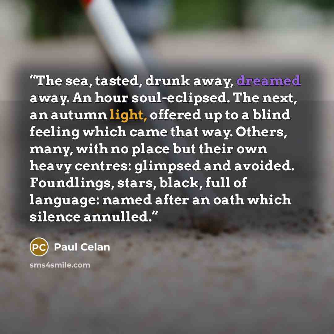 “The sea, tasted, drunk away, dreamed away. An hour soul-eclipsed. The next, an autumn light, offered up to a blind feeling which came that way. Others, many, with no place but their own heavy centres: glimpsed and avoided. Foundlings, stars, black, full of language: named after an oath which…” quote by Paul Celan
