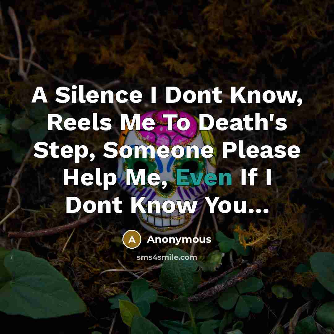 “A Silence I Dont Know, Reels Me To Death's Step, Someone Please Help Me, Even If I Dont Know You…” quote by Anonymous