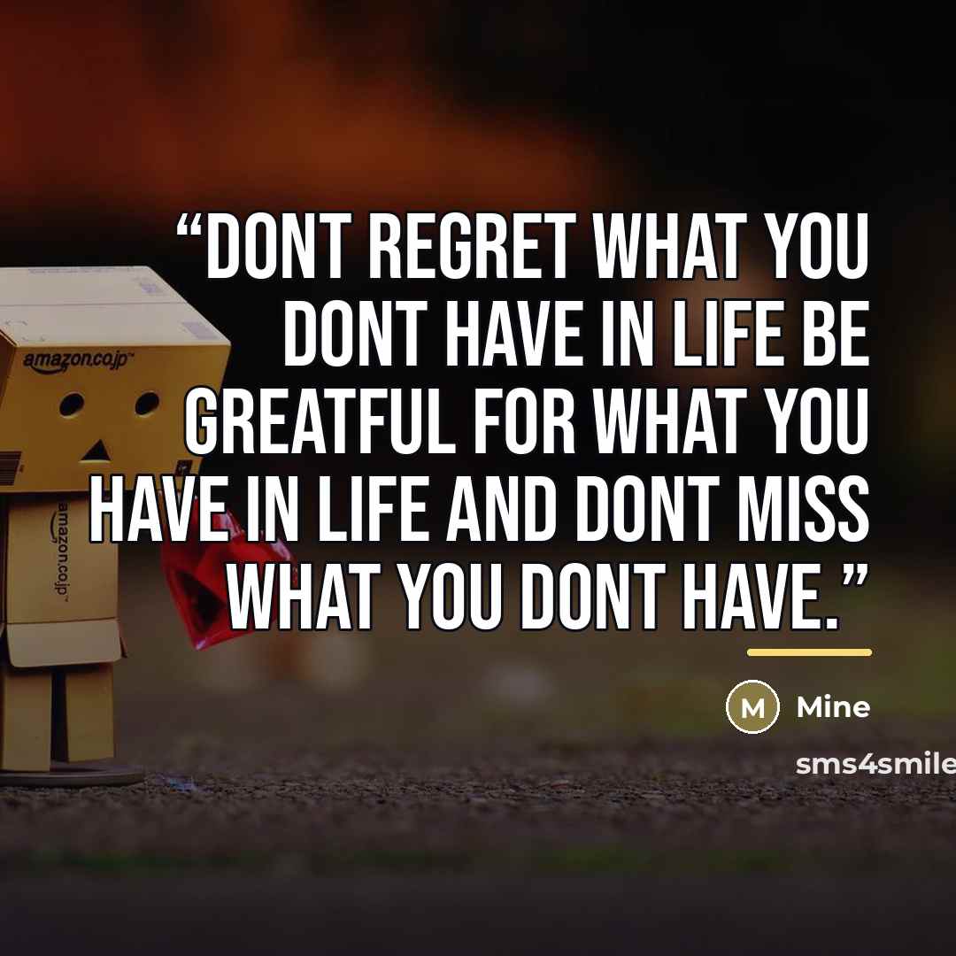 “Dont regret what you dont have in life be greatful for what you have in life and dont miss what you dont have.” quote by mine
