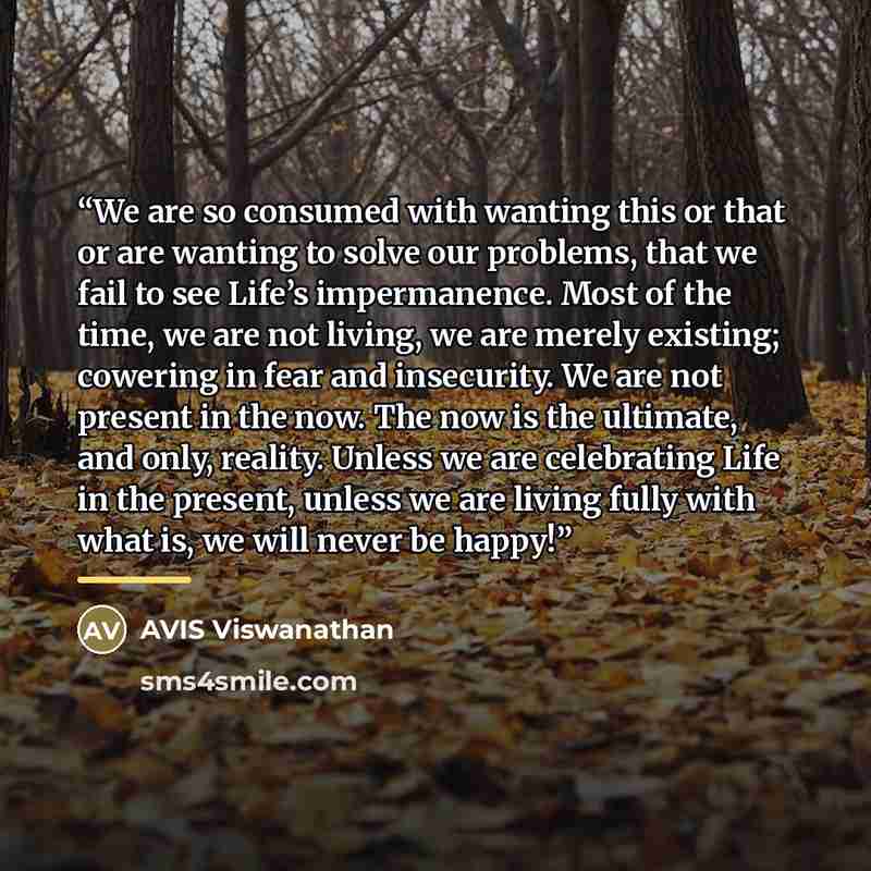 “We are so consumed with wanting this or that or are wanting to solve our problems, that we fail to see Life’s impermanence. Most of the time, we are not living, we are merely existing; cowering in fear and insecurity. We are not present in the now. The now is the ultimate, and only, reality…” quote by AVIS Viswanathan