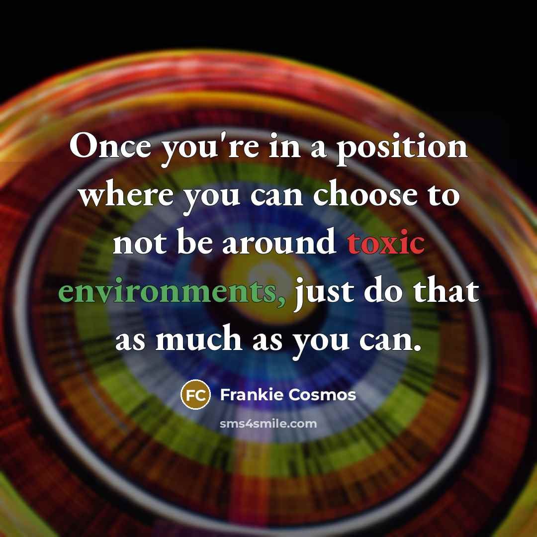 “Once you're in a position where you can choose to not be around toxic environments, just do that as much as you can.” quote by Frankie Cosmos