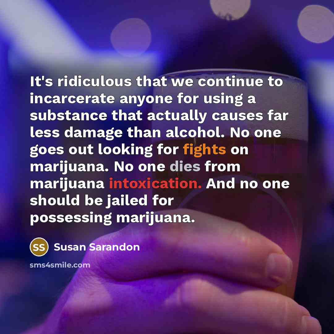 “It's ridiculous that we continue to incarcerate anyone for using a substance that actually causes far less damage than alcohol. No one goes out looking for fights on marijuana. No one dies from marijuana intoxication. And no one should be jailed for possessing marijuana.” quote by Susan Sarandon