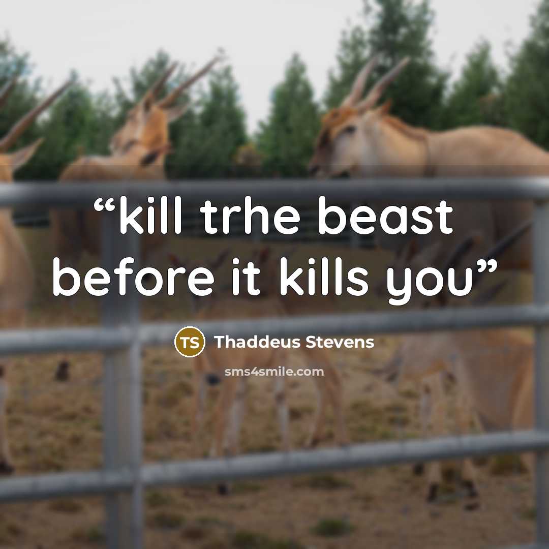 “kill trhe beast before it kills you” quote by thaddeus stevens