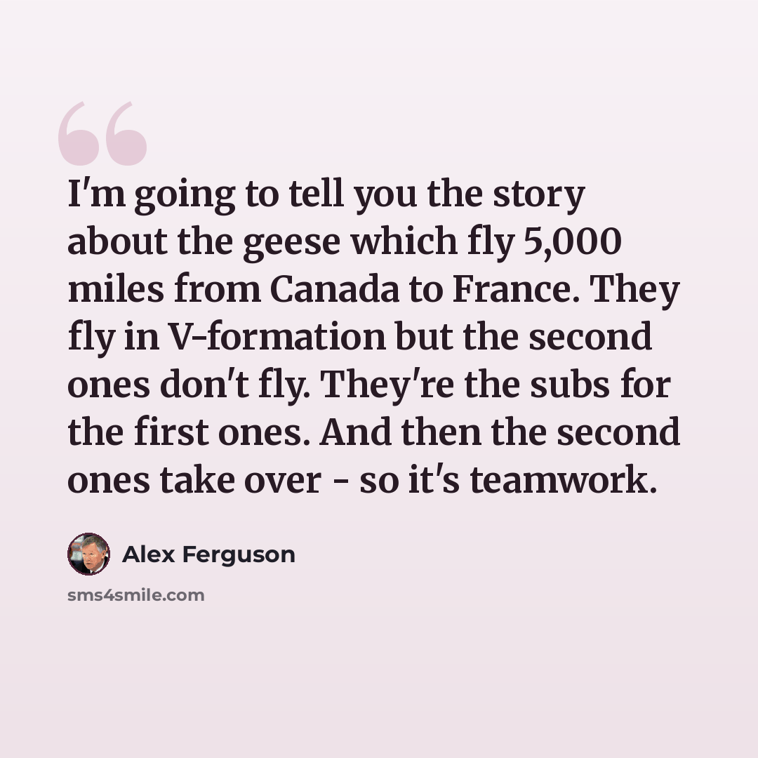 “I'm going to tell you the story about the geese which fly 5,000 miles from Canada to France. They fly in V-formation but the second ones don't fly. They're the subs for the first ones. And then the second ones take over - so it's teamwork.” quote by Alex Ferguson