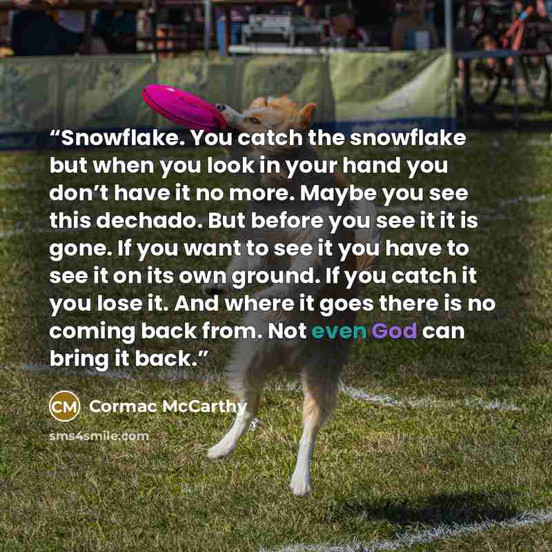 “Snowflake. You catch the snowflake but when you look in your hand you don’t have it no more. Maybe you see this dechado. But before you see it it is gone. If you want to see it you have to see it on its own ground. If you catch it you lose it. And where it goes there is no coming back from. Not…” quote by Cormac McCarthy
