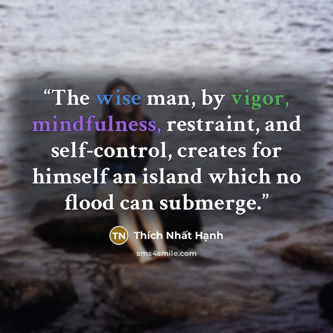 “The wise man, by vigor, mindfulness, restraint, and self-control, creates for himself an island which no flood can submerge.” quote by Thích Nhất Hạnh