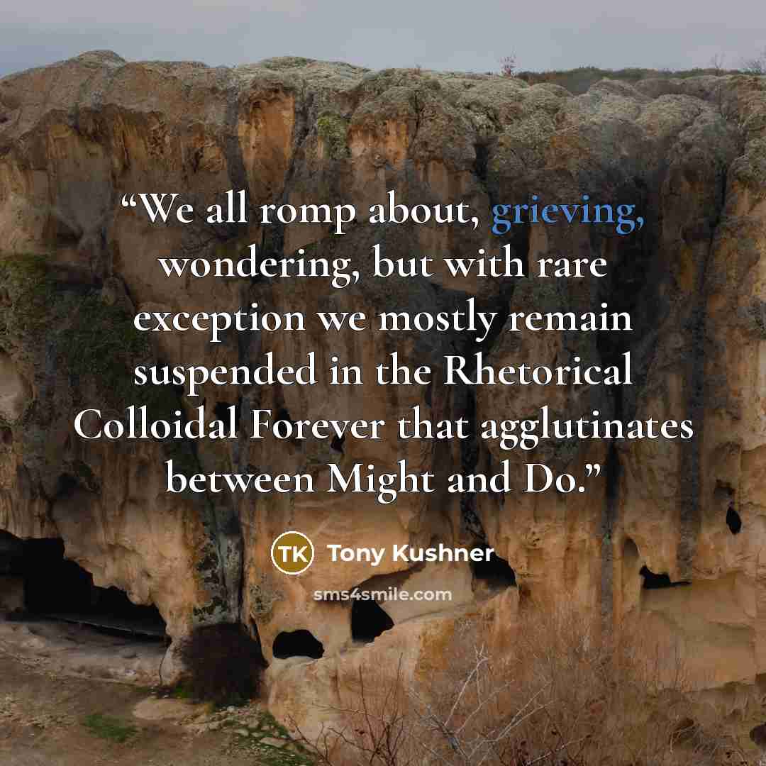 “We all romp about, grieving, wondering, but with rare exception we mostly remain suspended in the Rhetorical Colloidal Forever that agglutinates between Might and Do.” quote by Tony Kushner