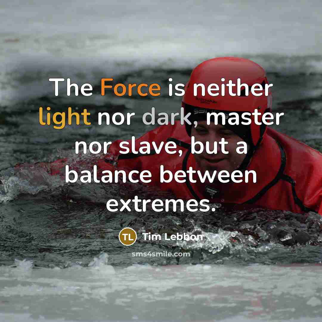 “The Force is neither light nor dark, master nor slave, but a balance between extremes.” quote by Tim Lebbon
