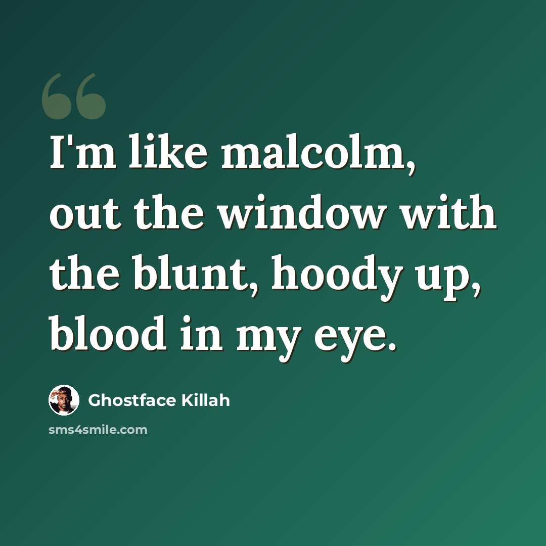 “I'm like malcolm, out the window with the blunt, hoody up, blood in my eye.” quote by Ghostface Killah