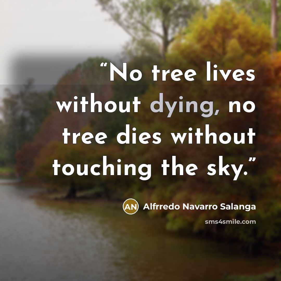 “No tree lives without dying, no tree dies without touching the sky.” quote by Alfrredo Navarro Salanga