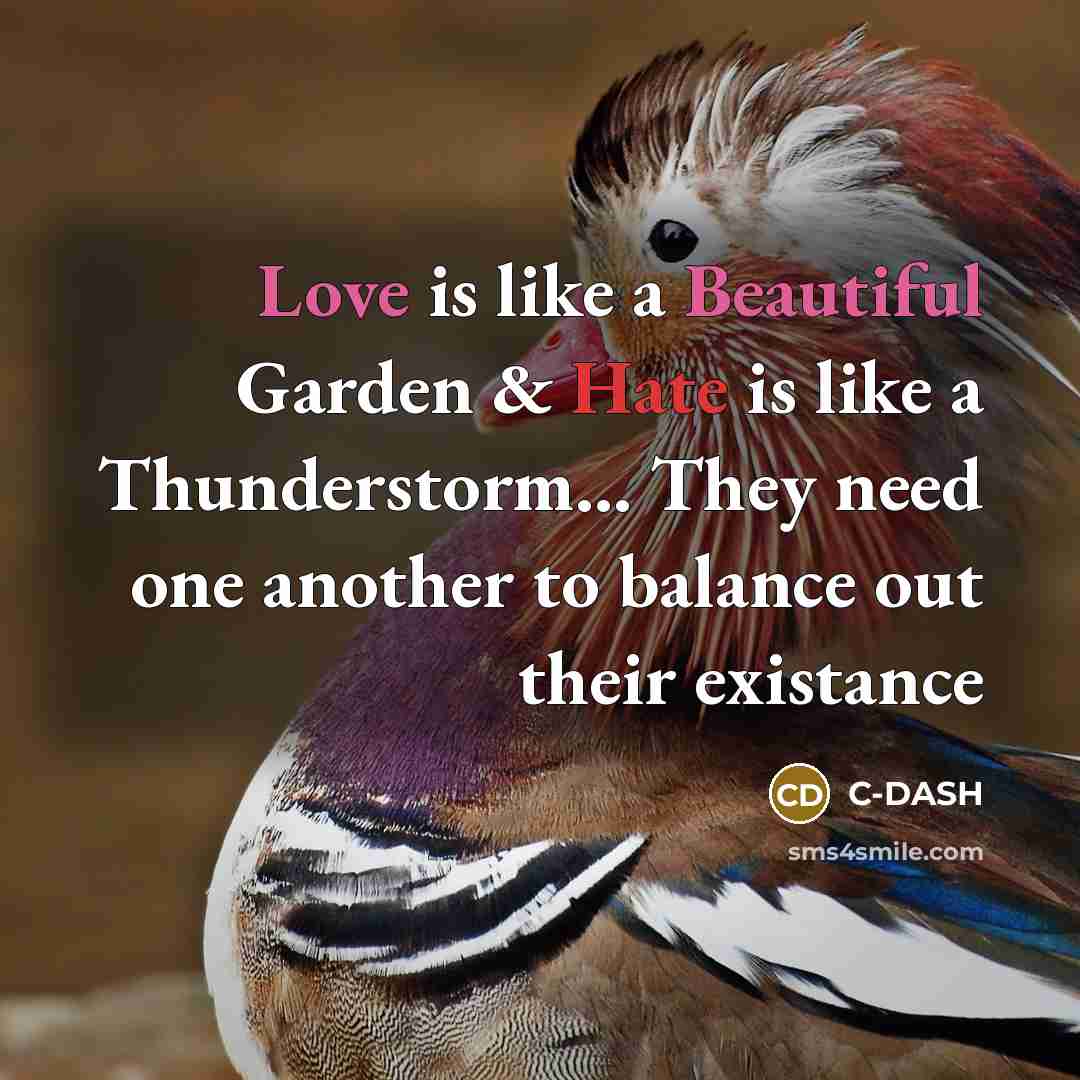 “Love is like a Beautiful Garden & Hate is like a Thunderstorm... They need one another to balance out their existance” quote by C-DASH