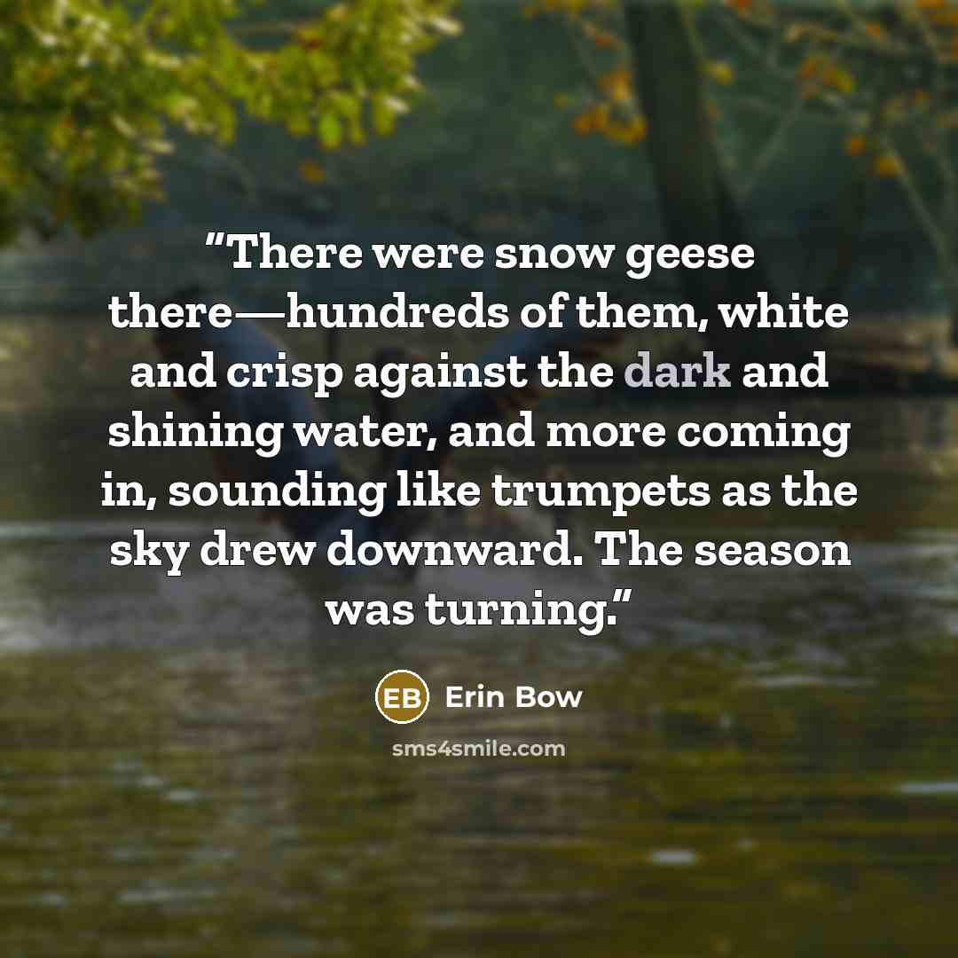 “There were snow geese there—hundreds of them, white and crisp against the dark and shining water, and more coming in, sounding like trumpets as the sky drew downward. The season was turning.” quote by Erin Bow