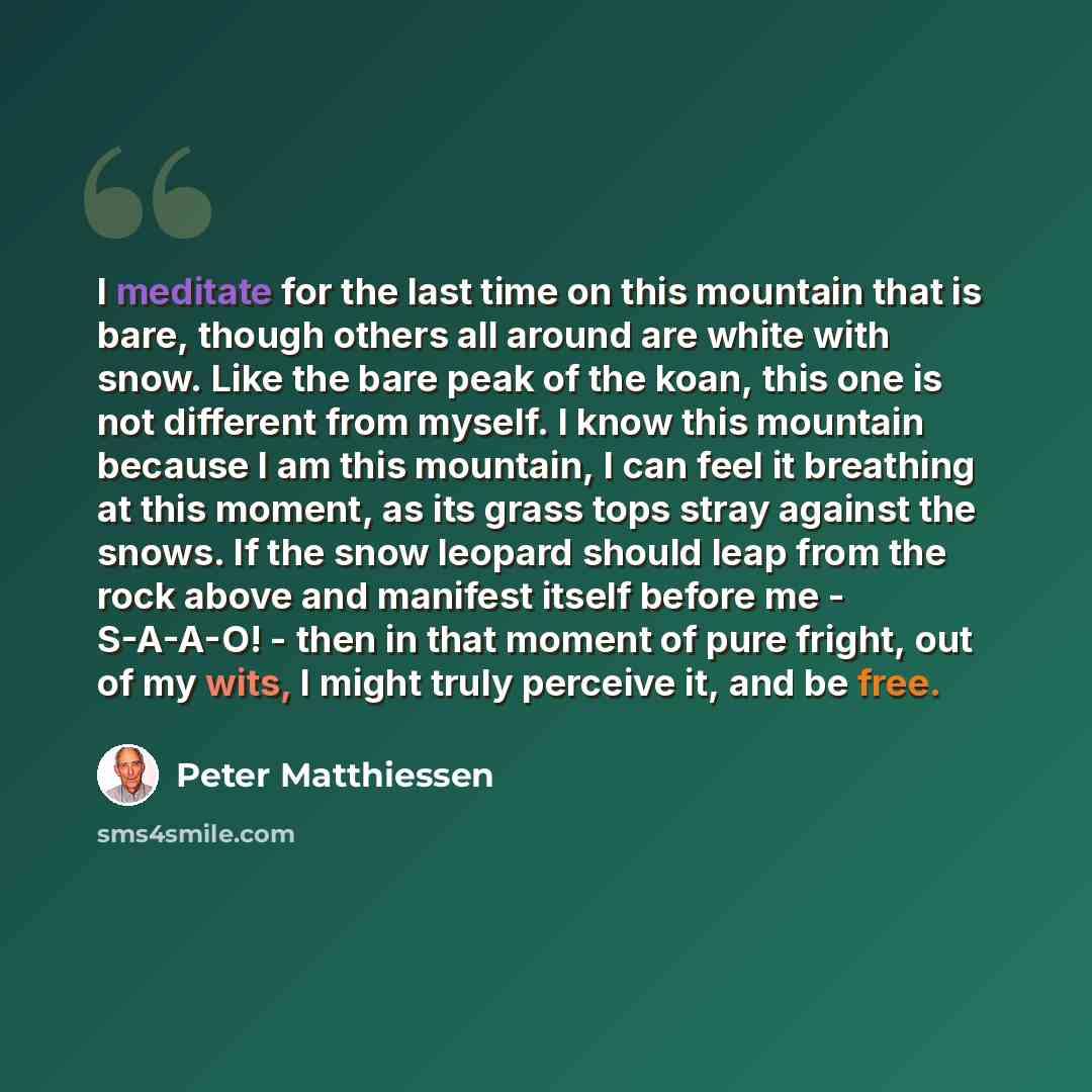 “I meditate for the last time on this mountain that is bare, though others all around are white with snow. Like the bare peak of the koan, this one is not different from myself. I know this mountain because I am this mountain, I can feel it breathing at this moment, as its grass tops stray against…” quote by Peter Matthiessen
