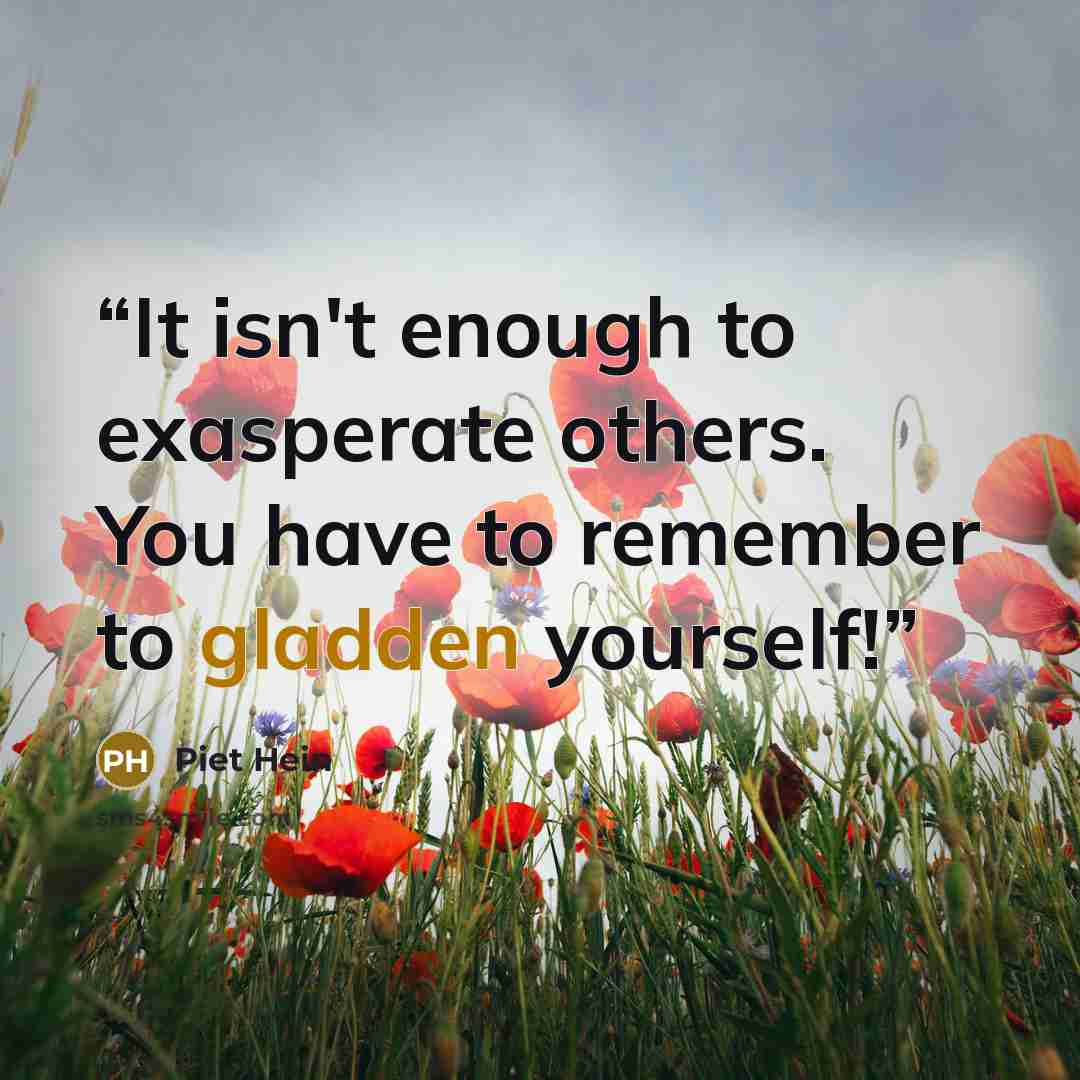 “It isn't enough to exasperate others. You have to remember to gladden yourself!” quote by Piet Hein
